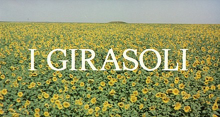 girasoli-hd-movie-title.jpg